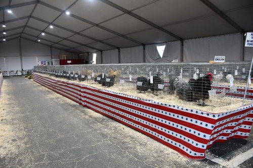 70th Annual State Fair Contest 2024